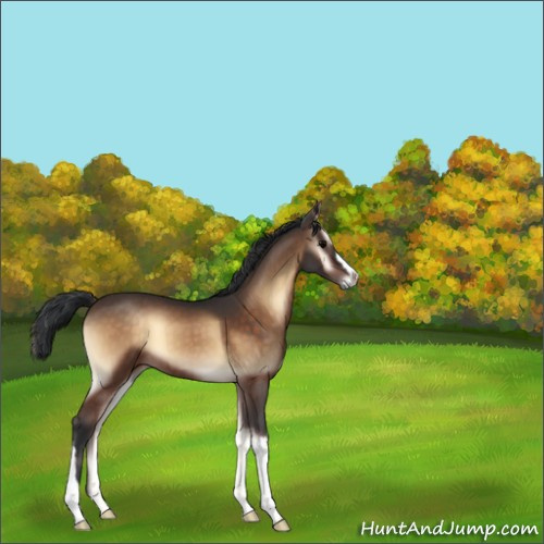Horse Color:Brown Onyx 