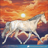 Horse Color:Silver Amber Cream Champagne Tobiano Appaloosa Rabicano 