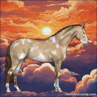 Horse Color:Gray White Spotted Red Dun Frame Appaloosa Rabicano 