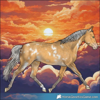 Horse Color:White Spotted Silver Amber Cream Champagne