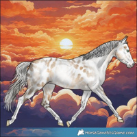 Horse Color:Gray Silver Amber Cream Champagne Splash Tobiano Appaloosa 