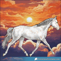 Horse Color:Silver Classic Champagne Tobiano Appaloosa