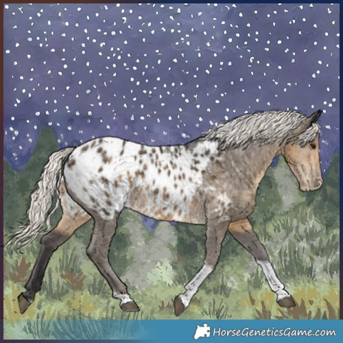Horse Color:Silver Smoky Black Tobiano Appaloosa Rabicano 