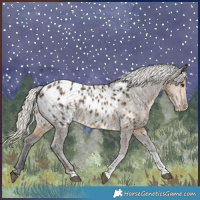 Horse Color:Silver Smoky Black Tobiano Appaloosa Rabicano 
