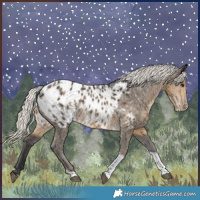 Horse Color:Silver Smoky Black Tobiano Appaloosa Rabicano 