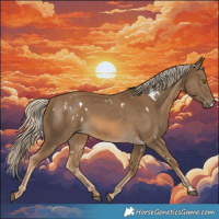 Horse Color:White Spotted Chocolate Palomino 