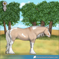 Horse Color:Silver Bay Dun Splash Tobiano Rabicano 