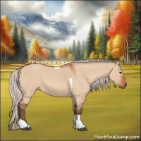 Horse Color:Silver Bay Dun Tobiano Rabicano