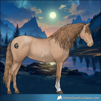 Horse Color:Black Pearl Sabino