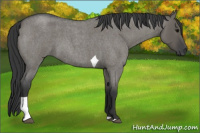 Horse Color:Grullo Roan Tobiano 