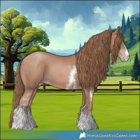Horse Color:Black Pearl Sabino 