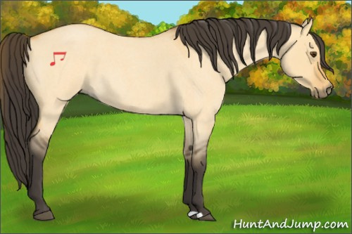 Horse Color:Buckskin Roan Dun 