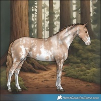 Horse Color:Black Pearl Sabino 