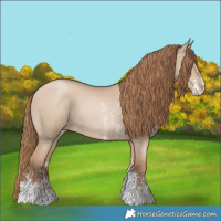 Horse Color:Grullo Pearl Sabino 