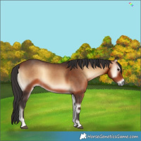 Horse Color:Brown Onyx