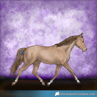 Horse Color:Black Pearl Sabino 