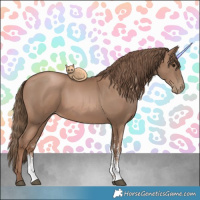 Horse Color:Black Pearl Sabino