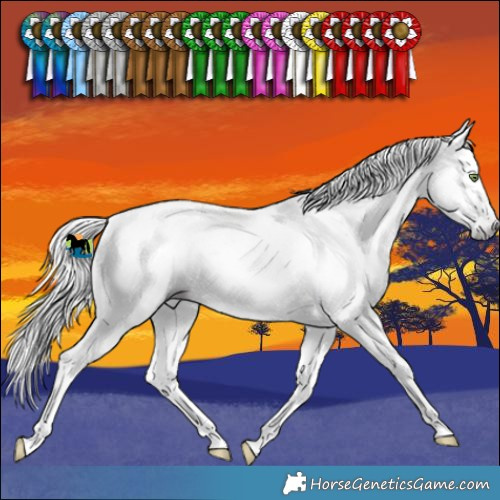 Horse Color:Gray Watercolor Silver Sable Champagne Ice Sabino 