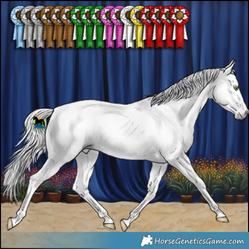 Horse Color:Gray Watercolor Silver Sable Champagne Ice Sabino 