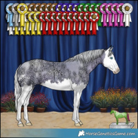 Horse Color:Watercolor Silver Smoky Black Ice Pearl Sabino Splash