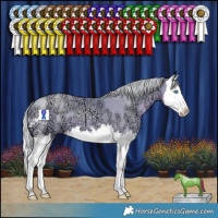 Horse Color:Watercolor Silver Smoky Black Ice Pearl Sabino Splash 