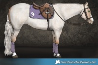 Horse Color:Silver Grullo Roan Pearl 