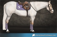 Horse Color:Silver Grullo Roan Pearl 