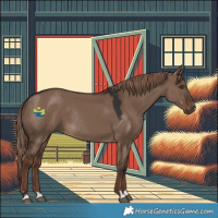 Horse Color:Liver Red Dun Rabicano 