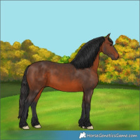 Horse Color:Brown 