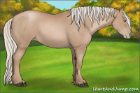 Horse Color:Silver Black Pearl Sabino