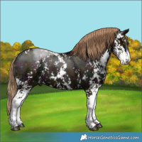 Horse Color:Midnight Black Ice Pearl Sabino 