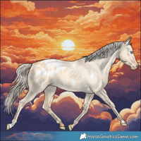 Horse Color:White Spotted Gold Cream Champagne Dun Appaloosa 
