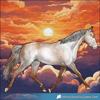 Horse Color:Gray White Spotted Gold Champagne Rabicano 