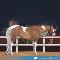Horse Color:Gray Silver Amber Champagne Splash Tobiano 