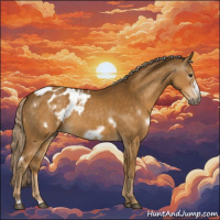 Horse Color:Gray White Spotted Palomino Frame Appaloosa Rabicano 