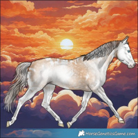 Horse Color:Gray White Spotted Gold Champagne Dun Splash Rabicano 