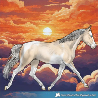 Horse Color:Silver Buckskin Pearl Dun Splash Tobiano Rabicano 