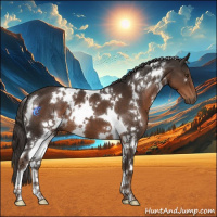 Horse Color:White Spotted Liver Chestnut 