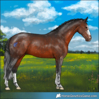 Horse Color:Brown 