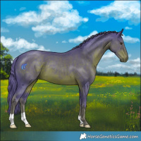 Horse Color:Watercolor Liver Chestnut 