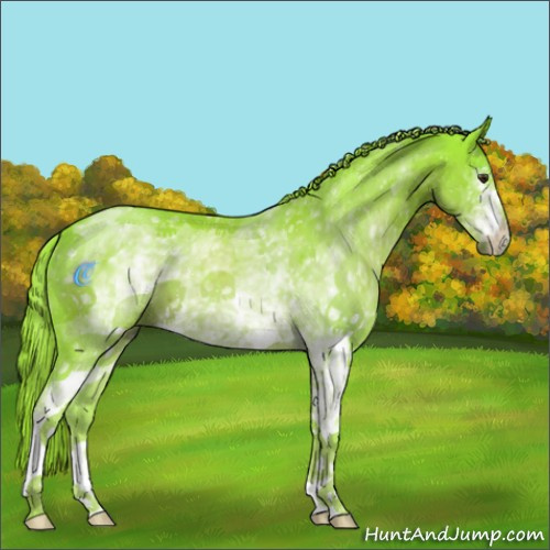 Horse Color:Watercolor White Spotted Liver Chestnut 