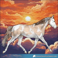 Horse Color:White Spotted Gold Champagne Dun Splash 