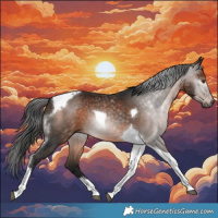 Horse Color:Gray Bay Tobiano 
