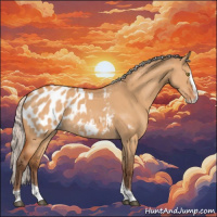 Horse Color:Silver Bay Dun Splash Tobiano Appaloosa 