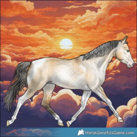 Horse Color:Gray Amber Cream Champagne Dun Tobiano 