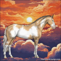 Horse Color:Gray White Spotted Silver Amber Champagne Dun Splash Frame Appaloosa Rabicano 