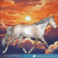 Horse Color:Gray Silver Amber Champagne Tobiano Rabicano 