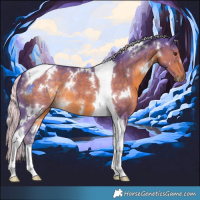 Horse Color:Watercolor White Spotted Chocolate Palomino Tobiano 