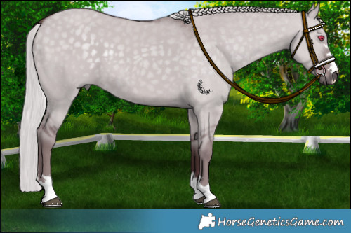 Horse Color:Chocolate Silver Grullo Chinchilla 