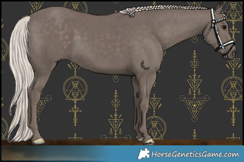 Horse Color:Silver Black 